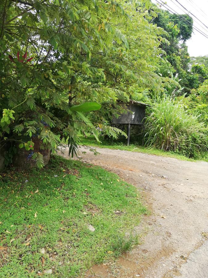 Hospedaje El Bosquecito Uvita Exterior foto